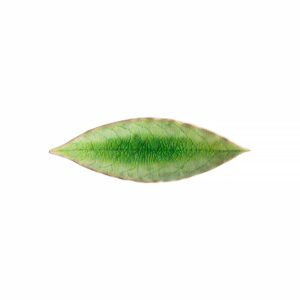 Costa Nova Riviera assiet laurbærblad grønn/sort - 18 cm