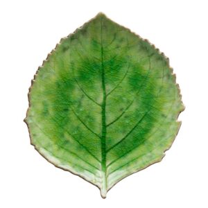Costa Nova Riviera tallerken hortensiablad grønn/sort - 22 cm